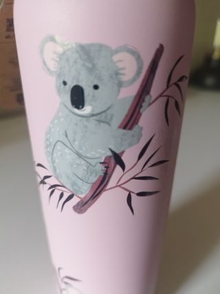 Botella Agua Ion8 Inox 600ml