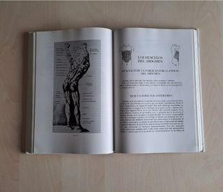 Anatomía Artística del Hombre