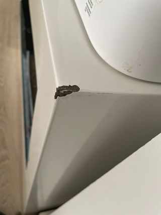 Chimenea Bioetanol Pureline