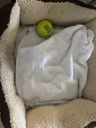 Cama para perro con manta y pelota
