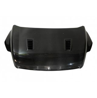 Capó Carbono Ford Focus 2008-2011 RS C/T