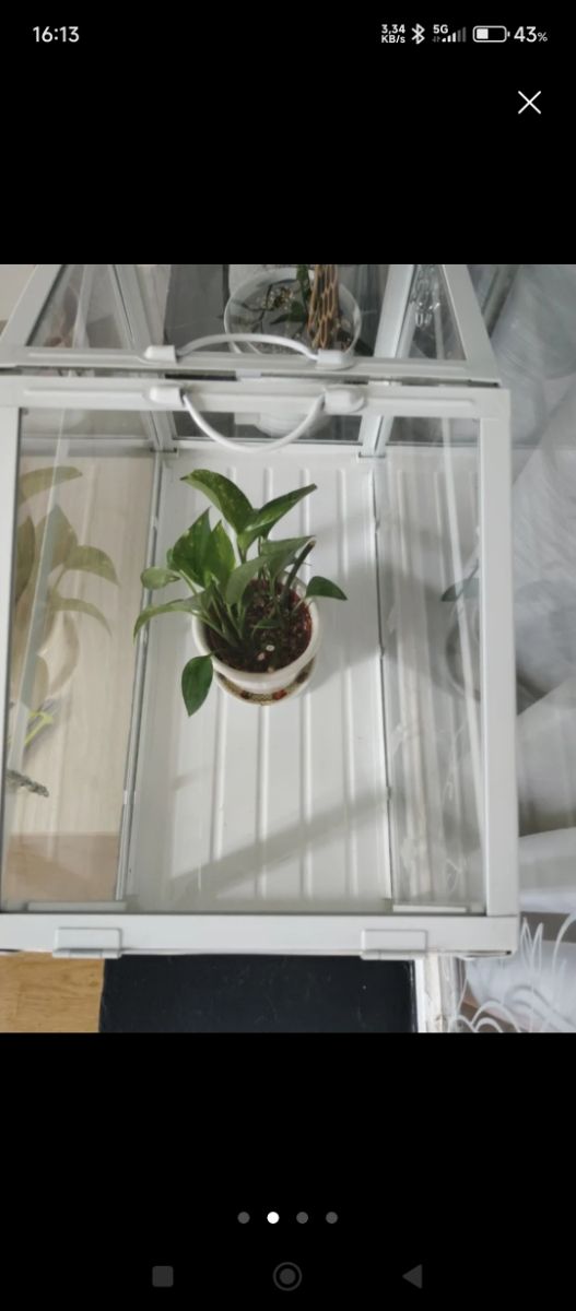 Invernadero IKEA Blanco