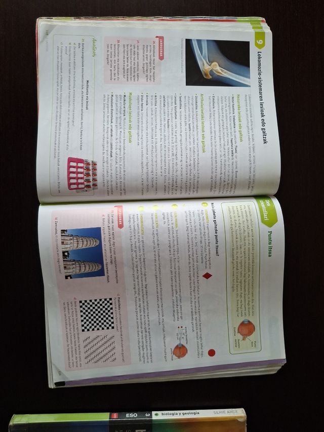 Biologia eta geologia. DBH 3. Bizigarri