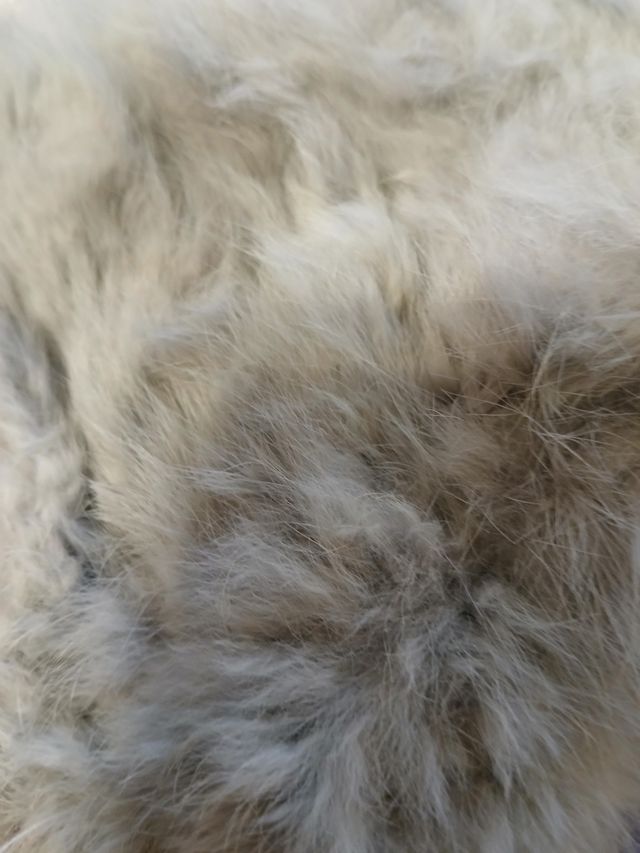 Chaqueta gris con cuello de pelo