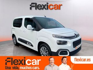 Citroën Berlingo Talla M BlueHDi 130 S&S EAT8 FEEL