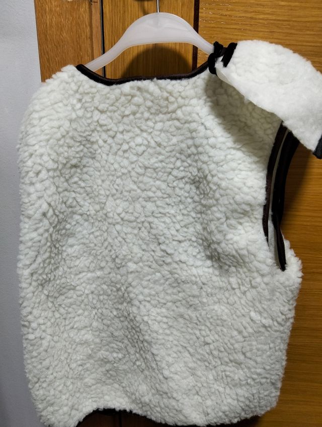 Fantasia de pastor de 9/10 anos