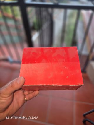 Sonda ambiente mural DPWT011000