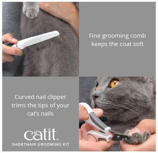 Catit Set Spazzole Gatti Pelo Corto Pettine