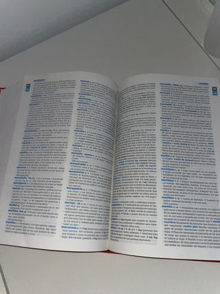 Diccionario de Secundaria y Bachillerato (Spani...
