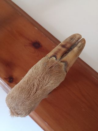 Perchero rústico de madera con pezuñas 