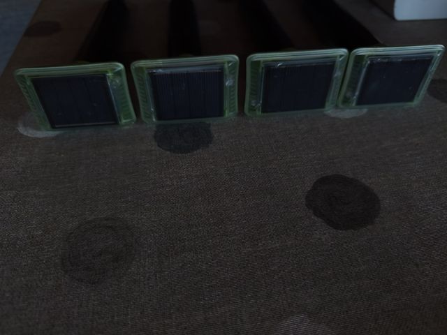 4 Repelentes Solares para Topos