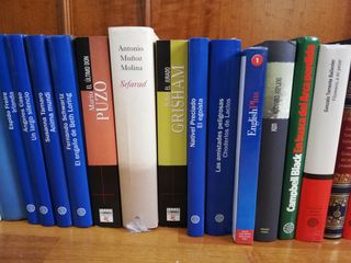 Lote de libros