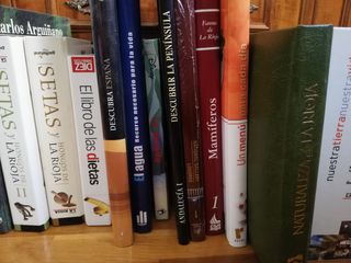 Lote de libros