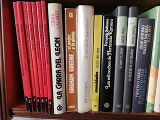 Lote de libros