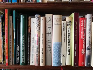 Lote de libros