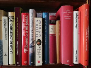 Lote de libros