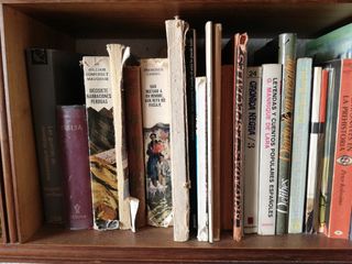 Lote de libros