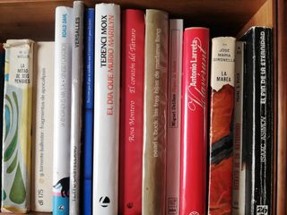 Lote de libros