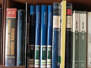 Lote de libros