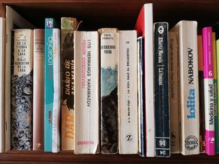 Lote de libros