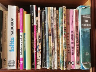 Lote de libros
