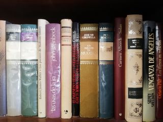 Lote de libros