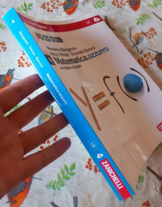 libro Matematica.azzurro 4