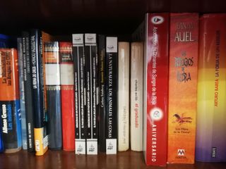 Lote de libros