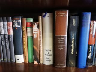Lote de libros