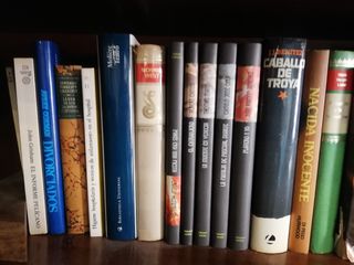 Lote de libros
