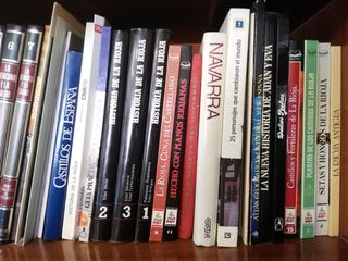 Lote de libros