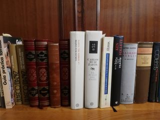 Lote de libros