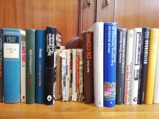 Lote de libros