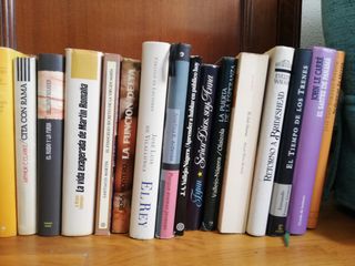 Lote de libros