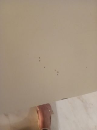 Escritorio/mesita de madera zarahome.