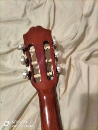 Set di 4 chitarre acustiche XP Valenciana