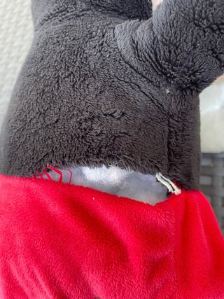 Set Peluche “Minnie e Topolino” Disney Store