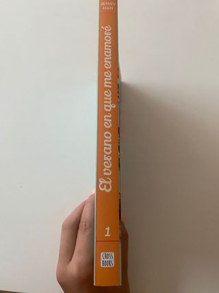 El verano en que me enamoré