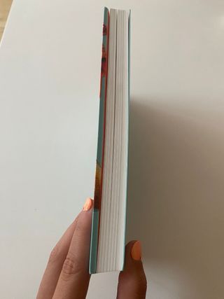 El verano en que me enamoré