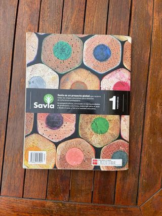 Matemáticas. 1 ESO. Savia