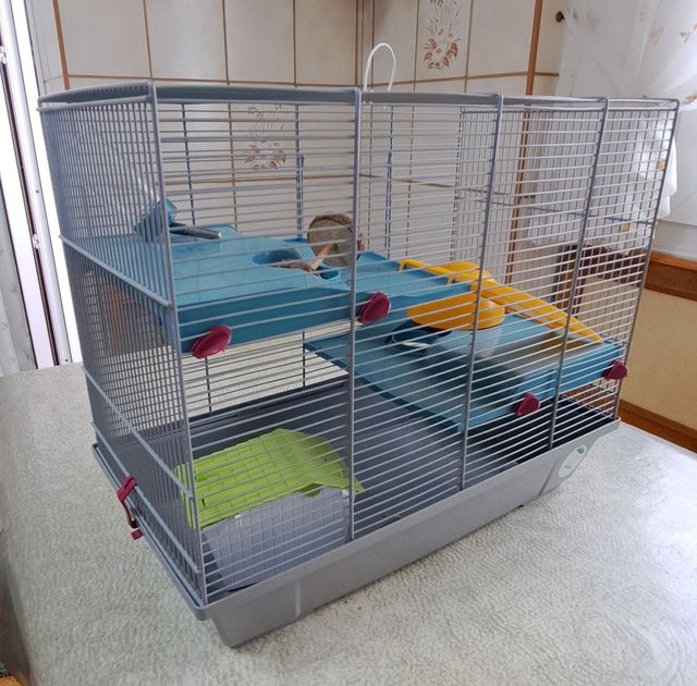 Jaula para mascotas azul y gris