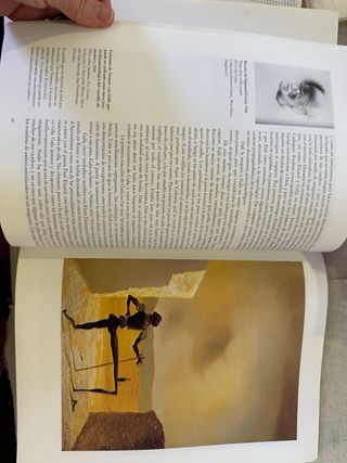 Dali - Taschen Serie Menor - (Spanish Edition)