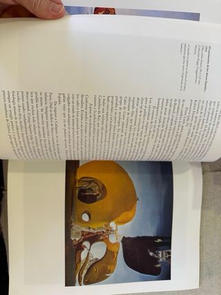 Dali - Taschen Serie Menor - (Spanish Edition)