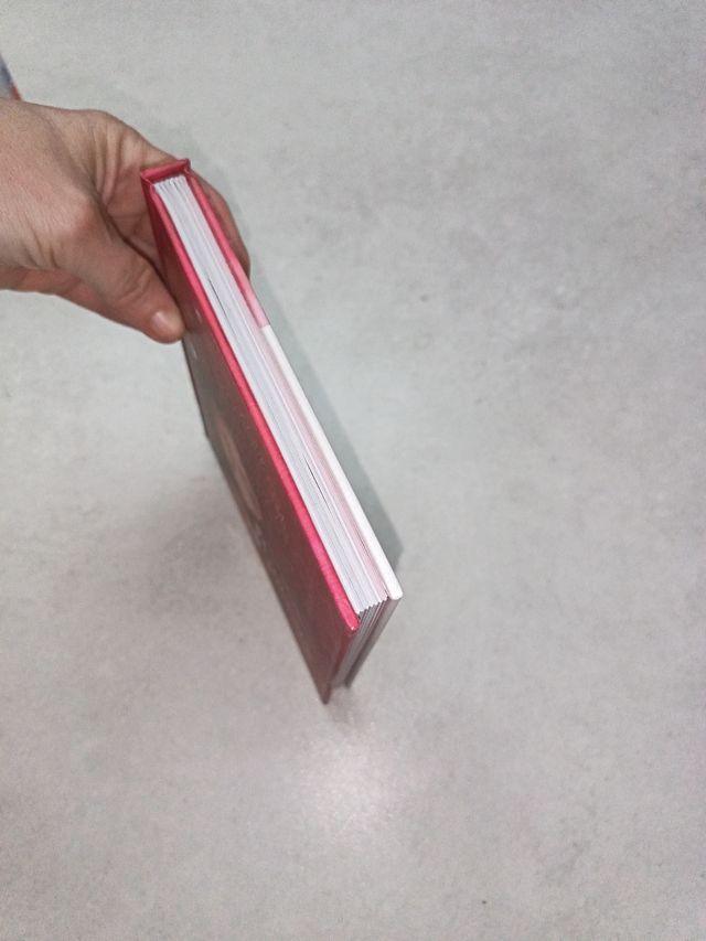 Princeses - Mini libro