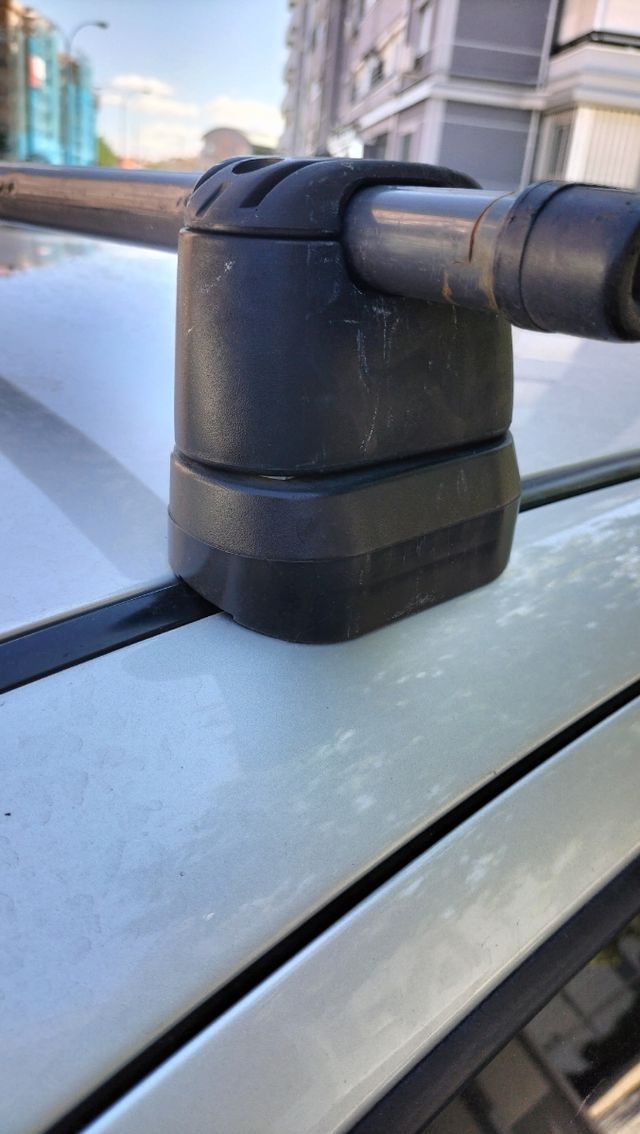 Vaca Coche Seat León