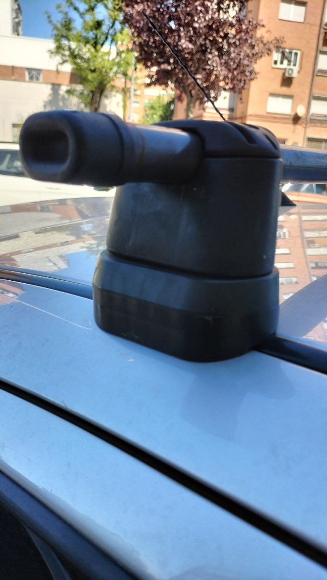 Vaca Coche Seat León