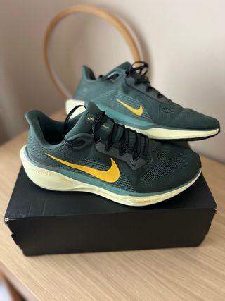 Nike Air Zoom Pegasus 41 Verde/Amarillo