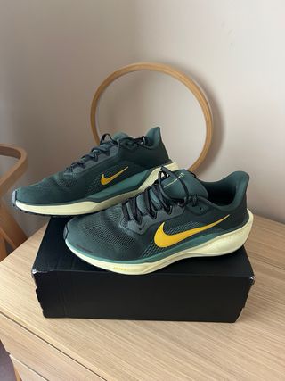 Nike Air Zoom Pegasus 41 Verde/Amarillo