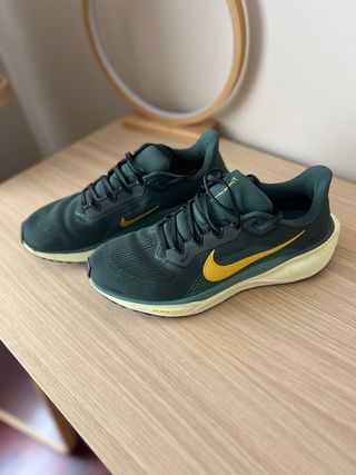 Nike Air Zoom Pegasus 41 Verde/Amarillo