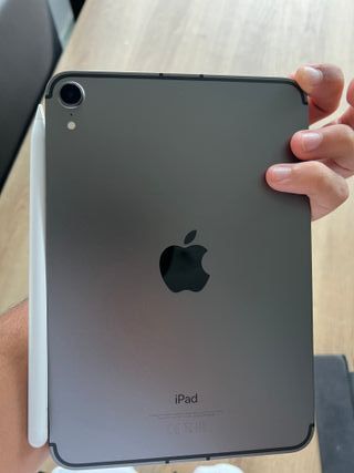 iPad mini 6 SIM (64GB) (Gris/Plata)